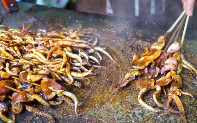 铁板鱿鱼技术培训学校哪家好？