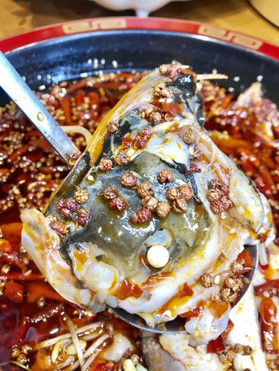 冷锅鱼技术培训全面解析，不容错过的学习机会！